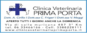 veterinaria